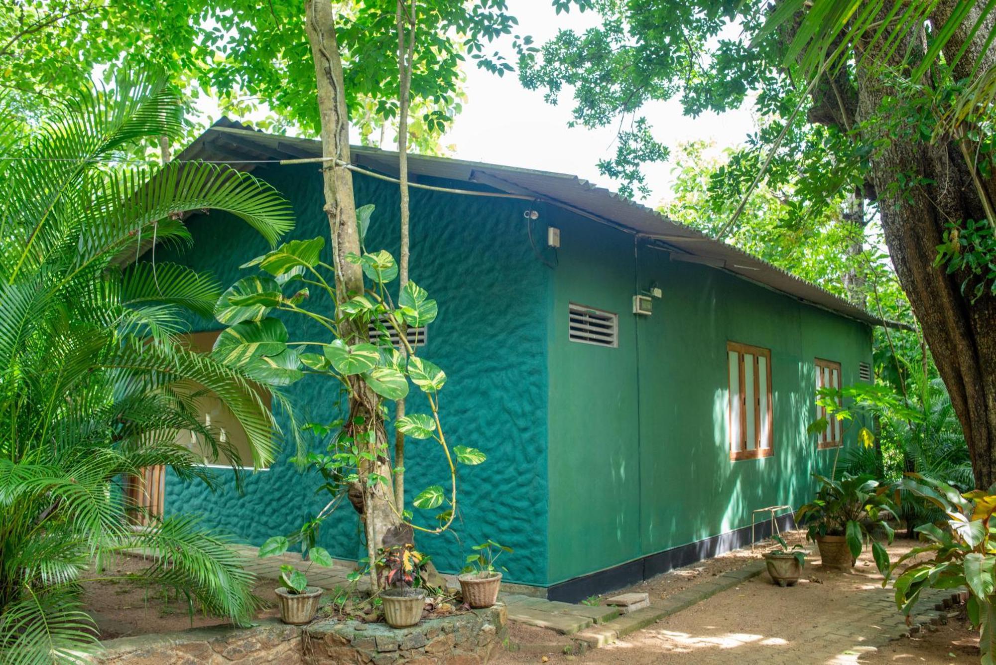 Silent Bungalow Udawalawe Exterior foto